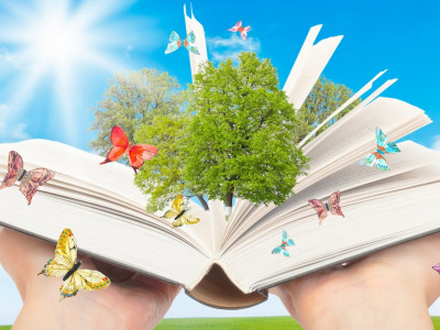 Исторические хроники