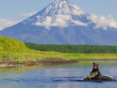 Заповедники Российской Федерации. 22-я серия - "Окский заповедник"