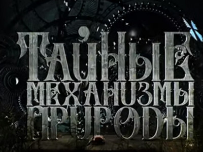 Тайные механизмы природы. Грибы