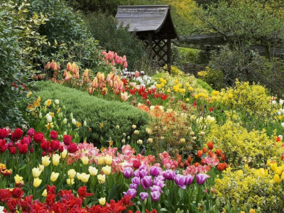 Садовые загадки. 3-я серия