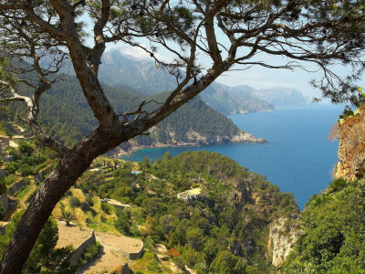 Дикая природа Испании. 1-я серия