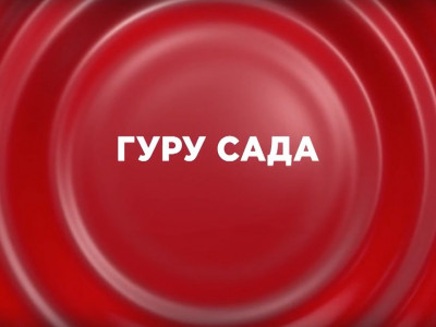 Гуру сада. 11-я серия