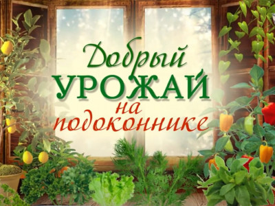 Добрый урожай на подоконнике. 10-я серия - "Что выросло на подоконнике"
