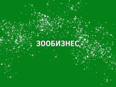 Зообизнес. 2-я серия