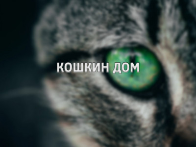 Кошкин дом. Игрушка для кошек