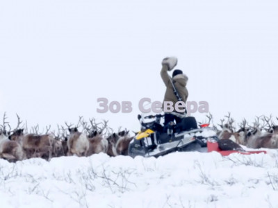 Зов севера