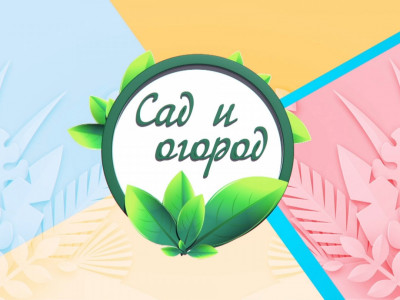 Сад и огород. 1-я серия
