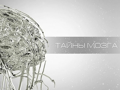 Тайны мозга. Бесконечность