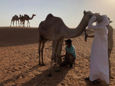 Магия ветра и песка. Оман