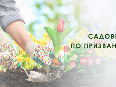 Садовник по призванию. 36-я серия