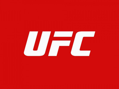 Смешанные единоборства. UFC. Трансляция из США. Дж. Каннонир - Г. Родригес