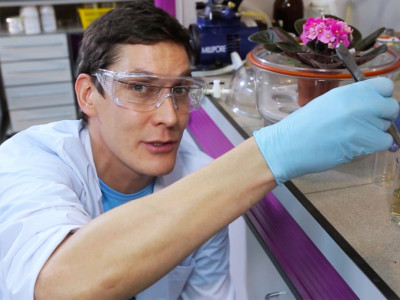 Бактерии. Гости или хозяева?