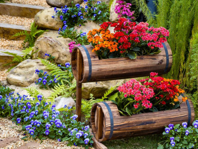 Цветники. 1-я серия